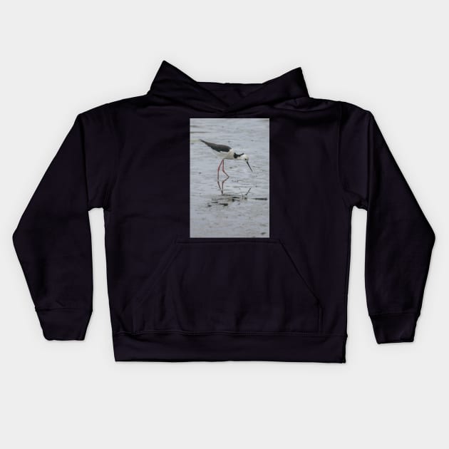 Black-winged Stilt 01 Kids Hoodie by fotoWerner